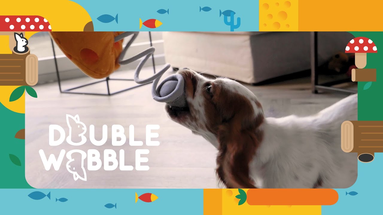 Double Wobble Carrot Conejos