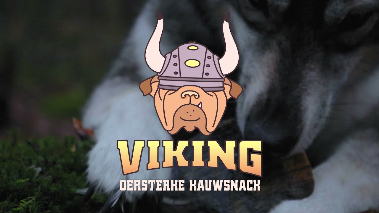 Viking Horn Twist S