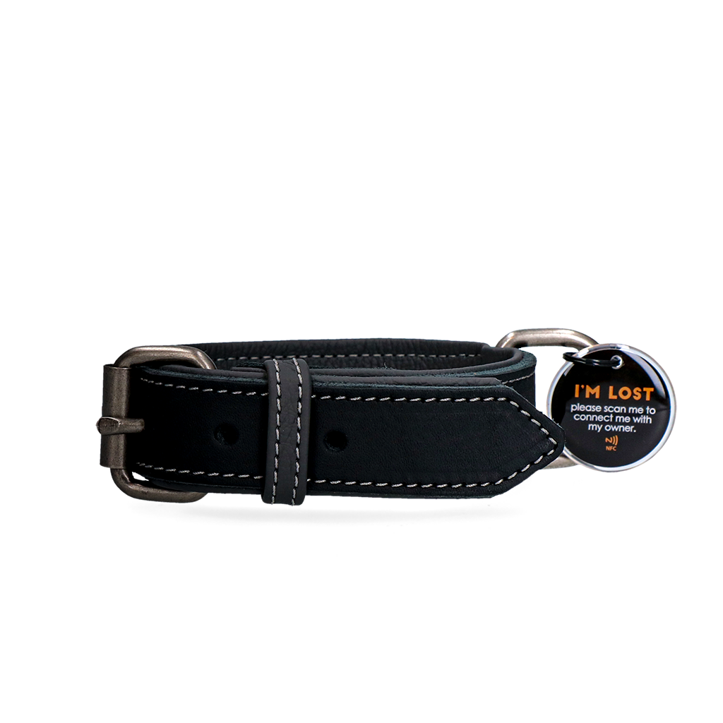 Spotted! Pro Lederhalsband Schwarz 3 x 65 cm