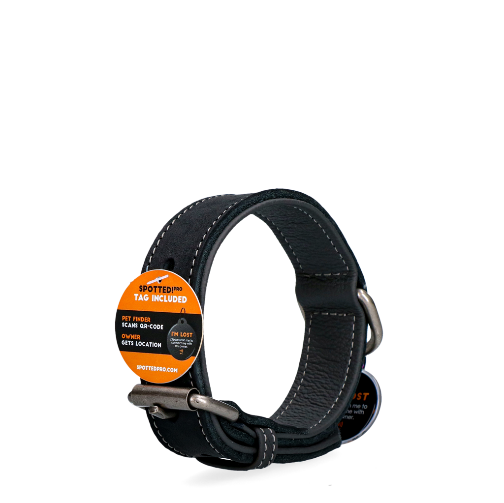 Spotted! Pro Lederhalsband Schwarz 3 x 60 cm