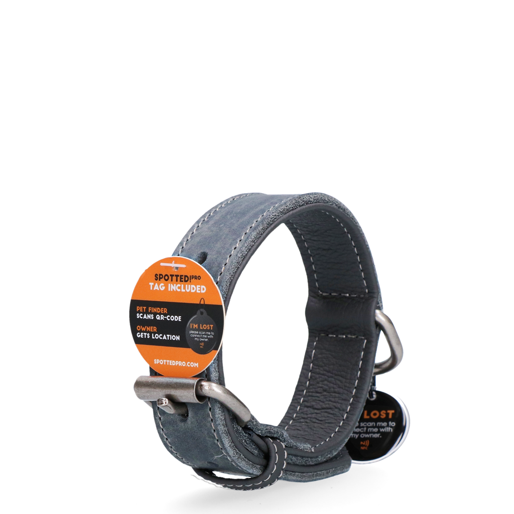 Spotted! Pro Lederhalsband Grau 2,5 x 50 cm