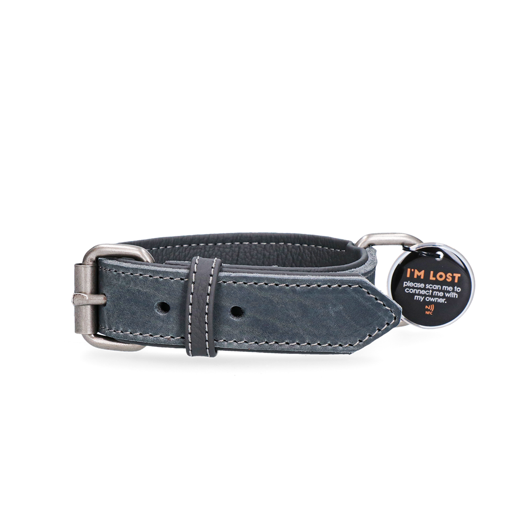 Spotted! Pro Lederhalsband Grau 2,5 x 50 cm