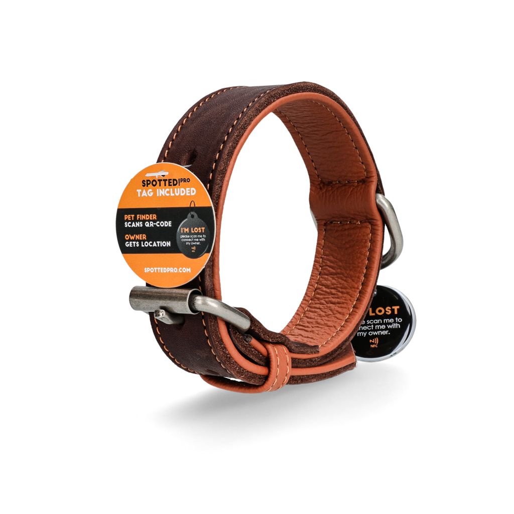 Spotted! Pro Lederhalsband Braun 2,5 x 50 cm