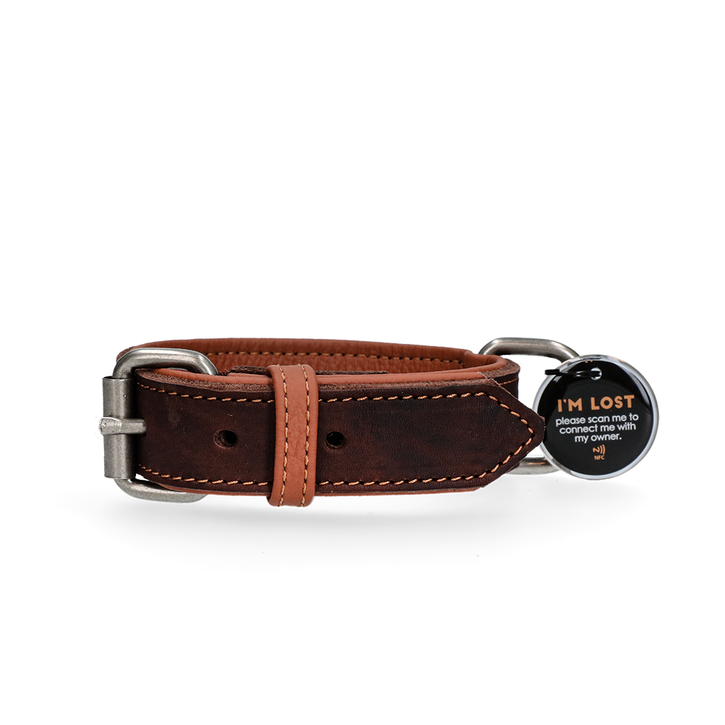 Spotted! Pro Lederhalsband Braun 2,5 x 45 cm