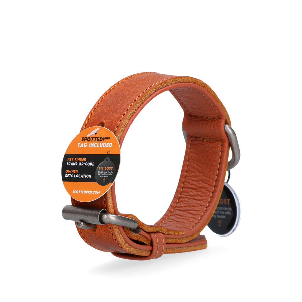 Spotted! Pro Lederhalsband Cognac 3 x 60 cm