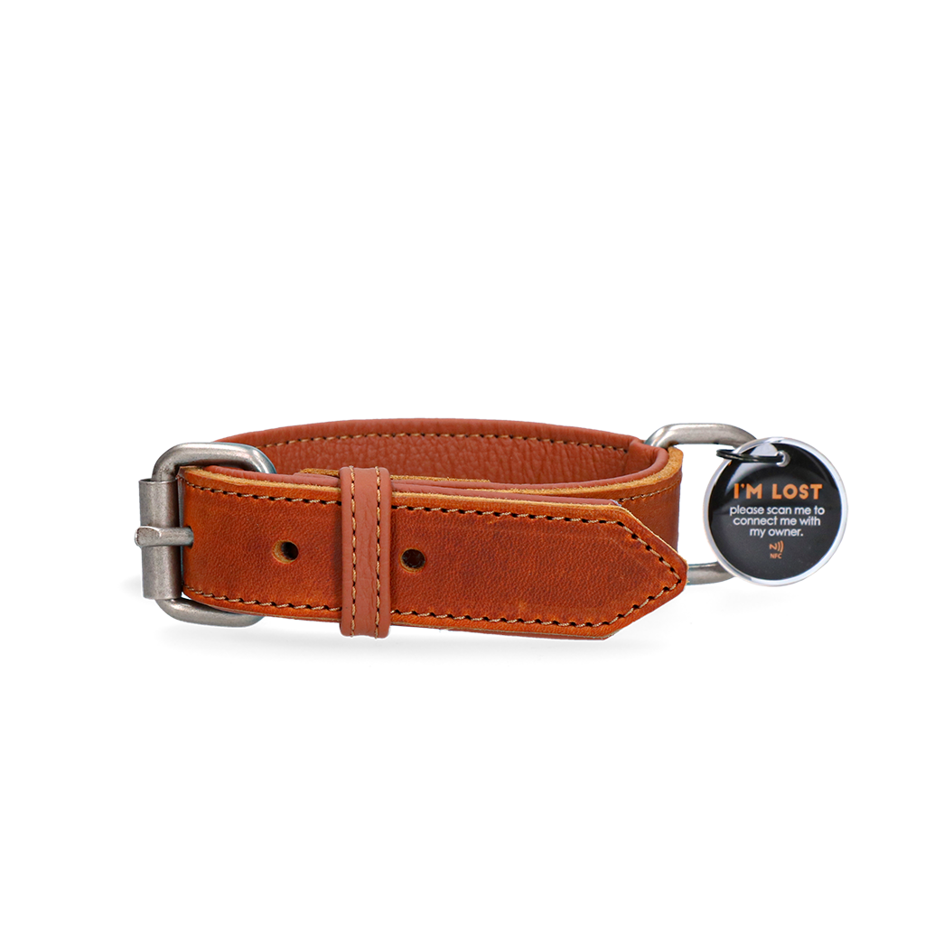Spotted! Pro Lederhalsband Cognac 2,5 x 50 cm
