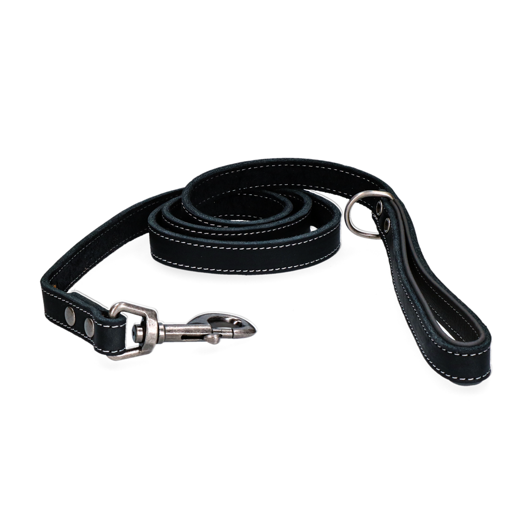 Spotted! Pro Leder Hundeleine Schwarz