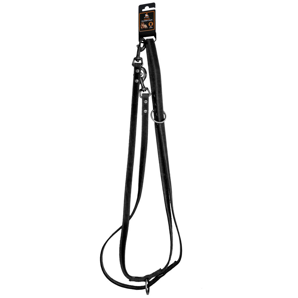 Spotted! Pro Leder Trainingsleine Schwarz 2 x 250 cm