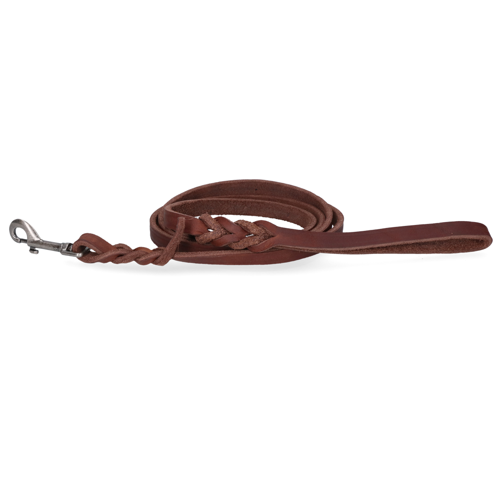 Spotted! Pro Leder Führleine Braun 1,8 x 180 cm (Bolzenhaken)