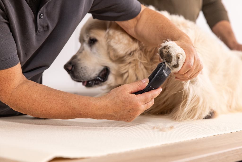 Wahl Prima Trimmer