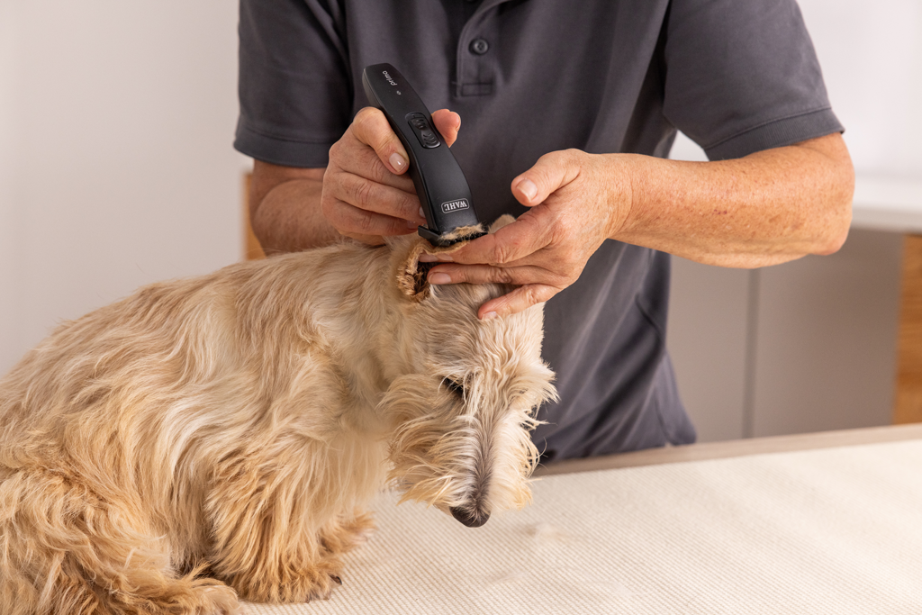 Wahl Prima Trimmer