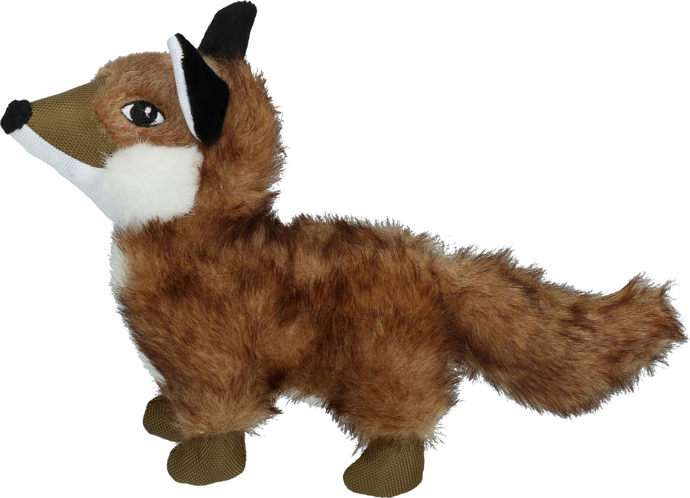 Wild Life Dog Fuchs