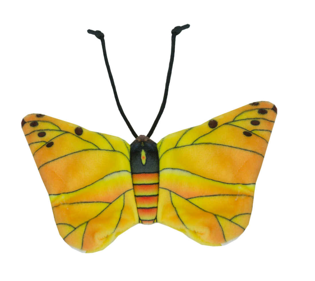 Wild Life Cat Gelber Schmetterling