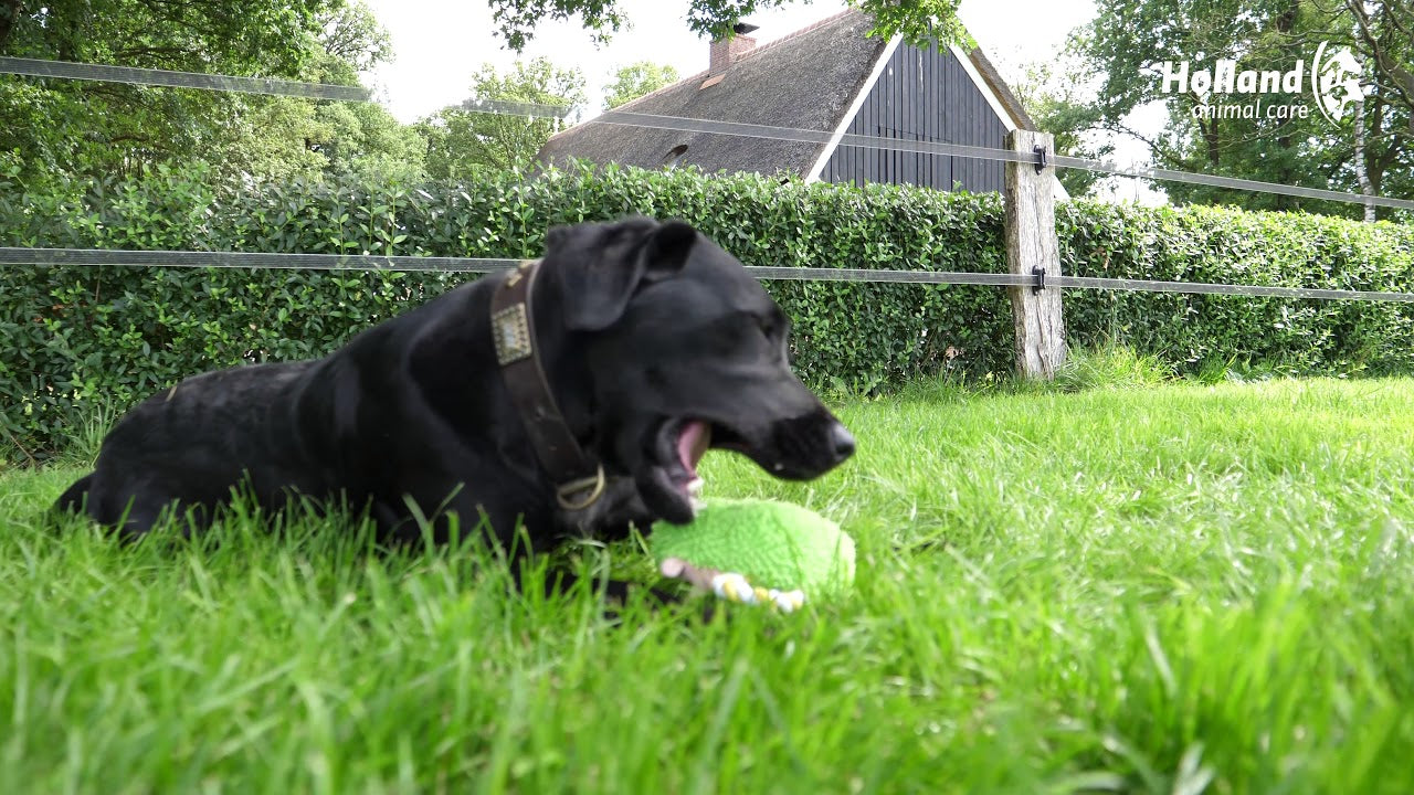 Fuzzle mit Quietscher Kaninchen