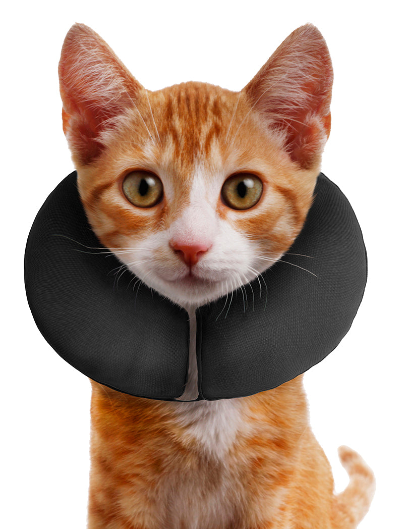 Zenpet ProCollar XS