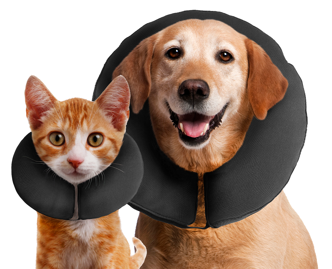 Zenpet ProCollar XS