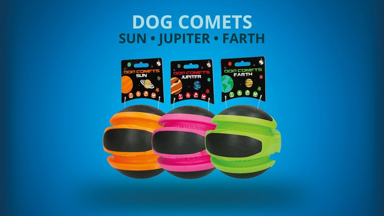 Dog Comets Planets Orange