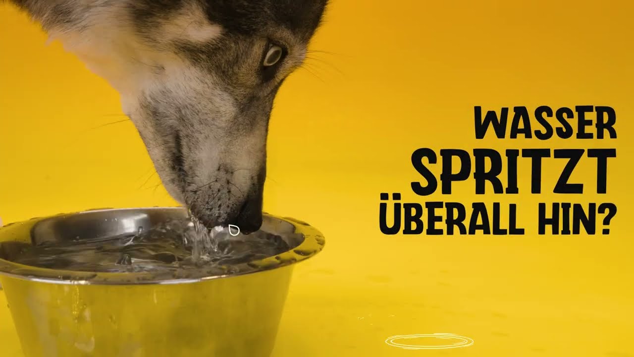 Excellent Pets No-Spill Bowl 300ml Anthrazit S