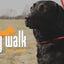 Easy Walk Schultermodell Schwarz - Mini