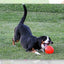 Jolly Bounce-n Play Vanille S (11 cm)