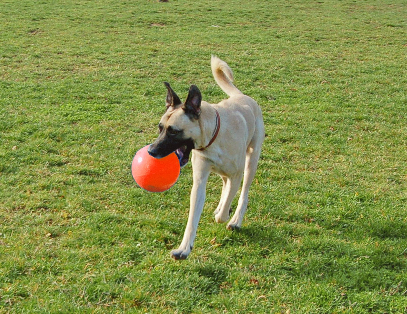 Jolly Ball Bounce-n Play 15cm Orange (Vanilleduft)