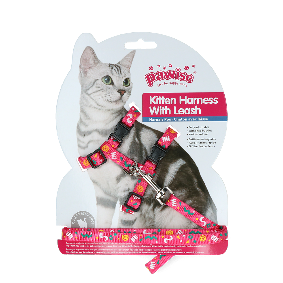 Pawise Kitten Harness Leash-Pink/Purple