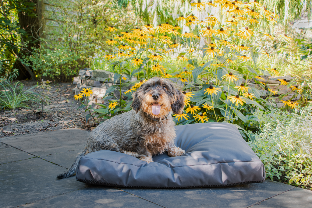 Let's Sleep Cushy Cloud Outdoor Hundebett M Anthrazit