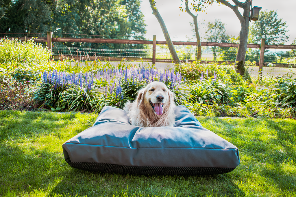 Let's Sleep Cushy Cloud Outdoor Hundebett M Anthrazit