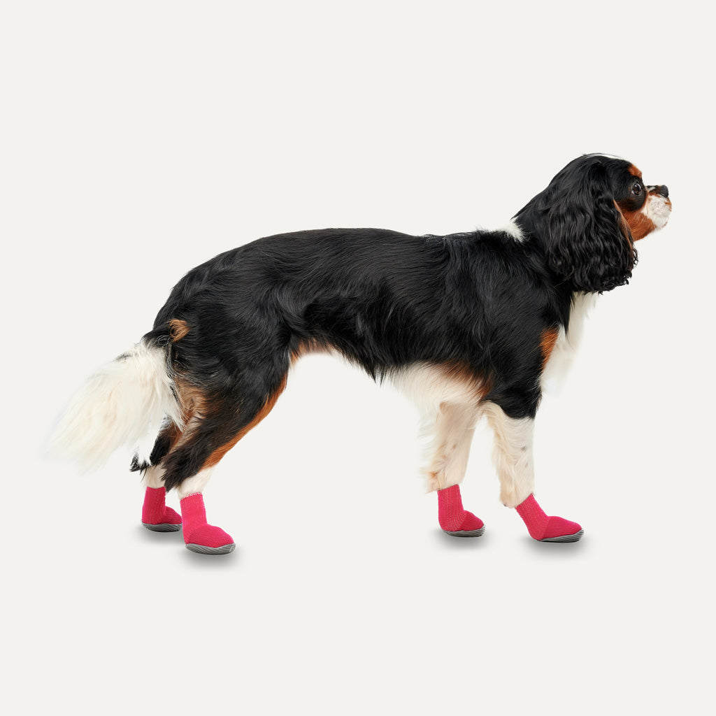 Gooeez Lites Dog Booties (4-pack) 2XS Red/Black