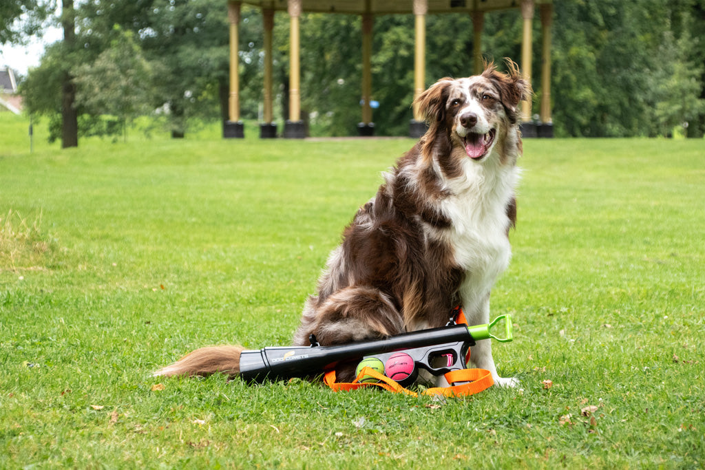 Dog Comets Comet launcher