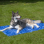 CoolPets Premium Cooling Mat XL (120x75cm)