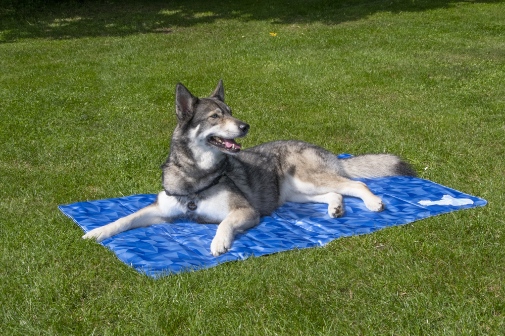 CoolPets Premium Cooling Mat XL (120x75cm)