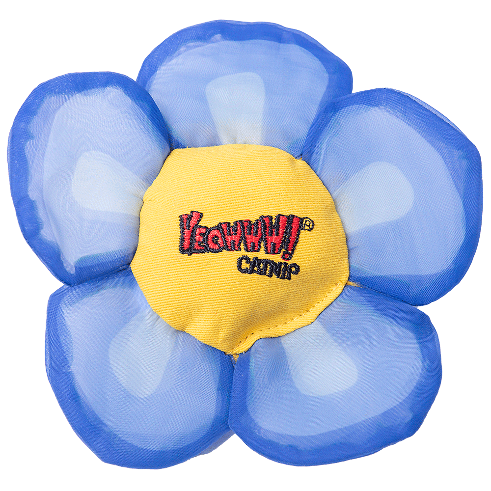 Yeowww Daisey's Flower Top Blue