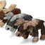 Elegant Moose Grau