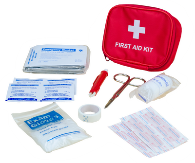 Pawise First Aid Kit