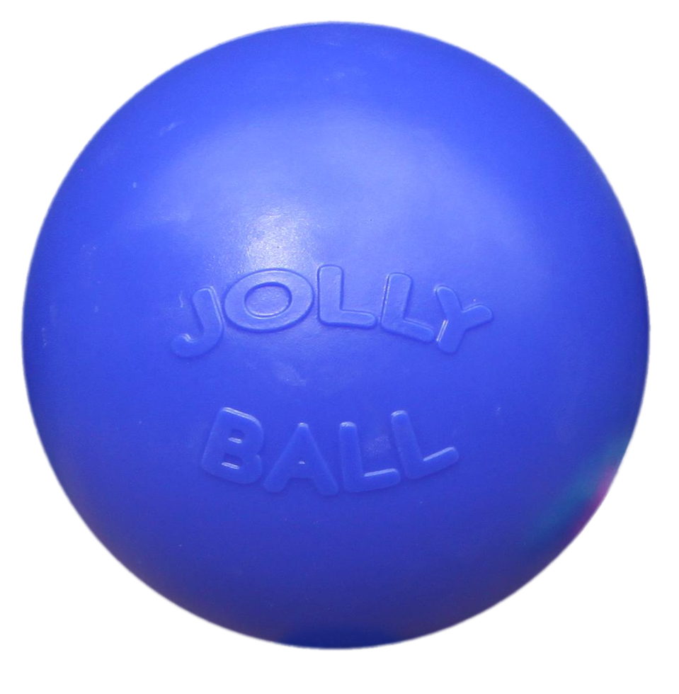 Jolly Ball Push-n-Play 25cm blau