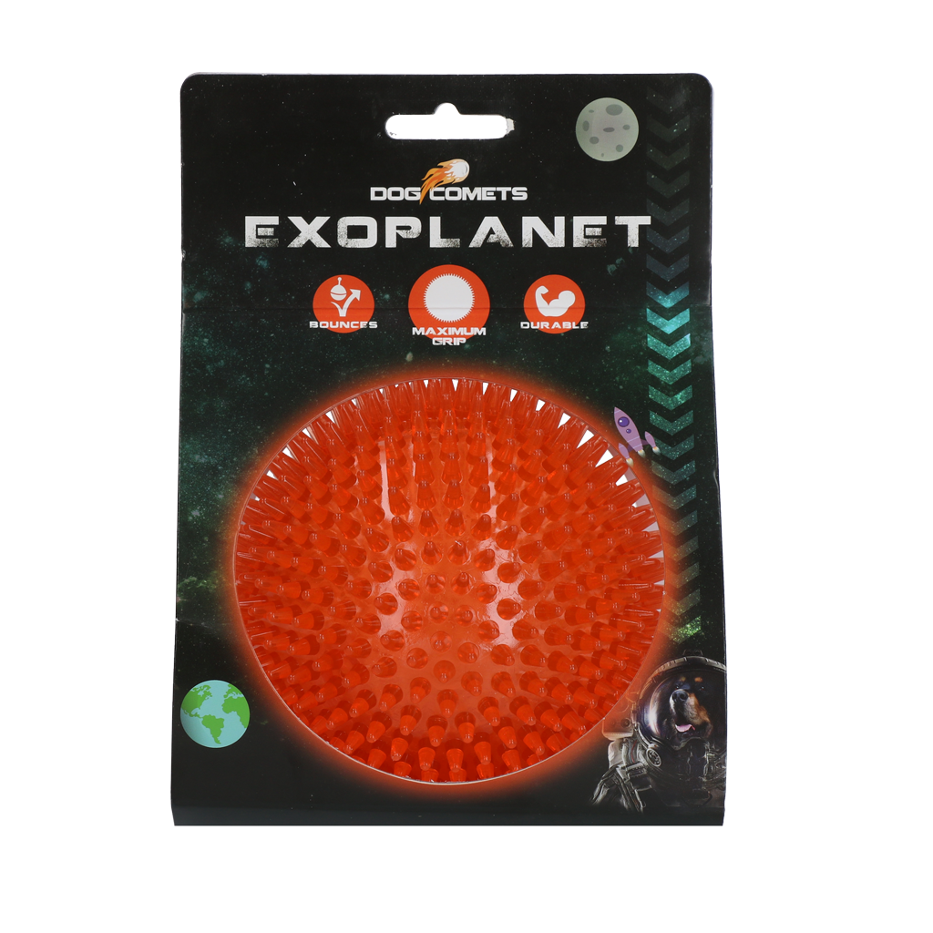 Dog Comets Exoplanet Orange L