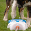 CoolPets Splash Water Fountain