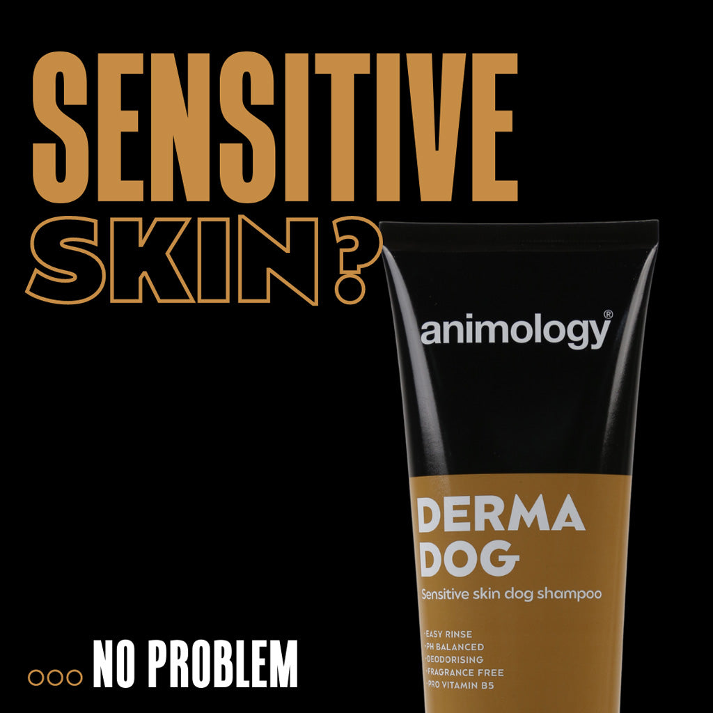 Animology Derma Dog Shampoo