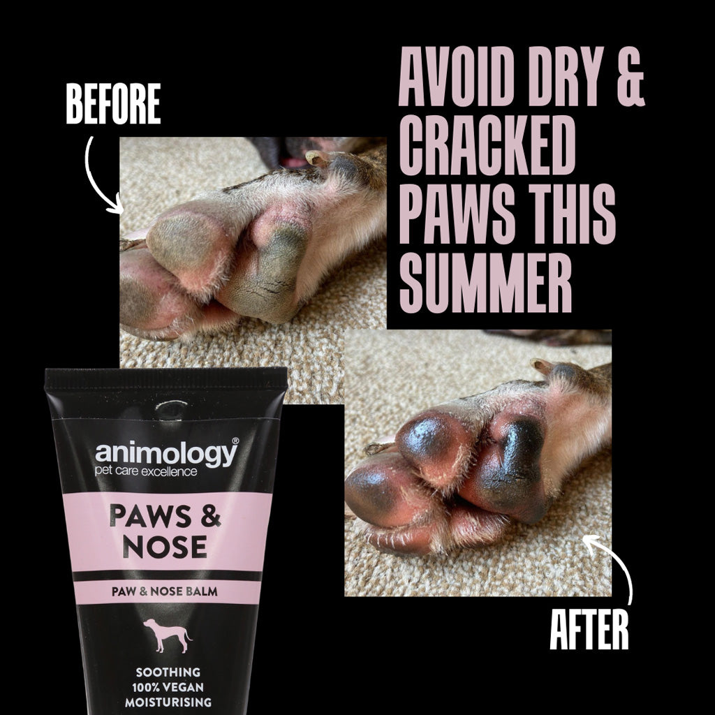 Animology Paws & Nose Balm 50ml