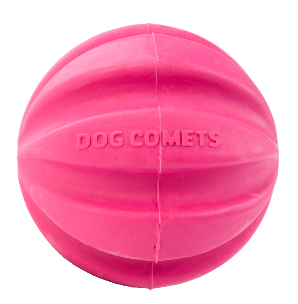 Dog Comets Ball Meteorite Rosa