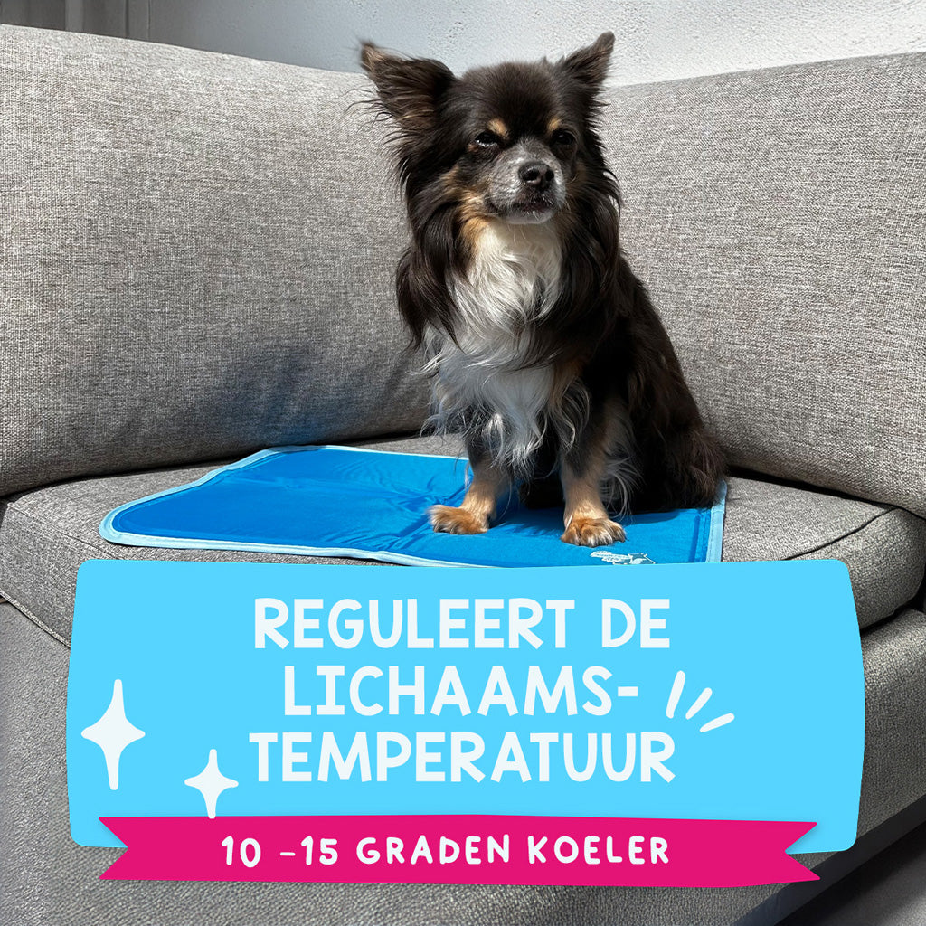 Coolpets Premium Solid Gel Coolmat XS (40x30cm)