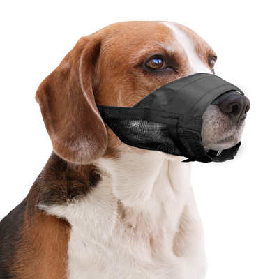 Pawise Muzzle Adjustable XL