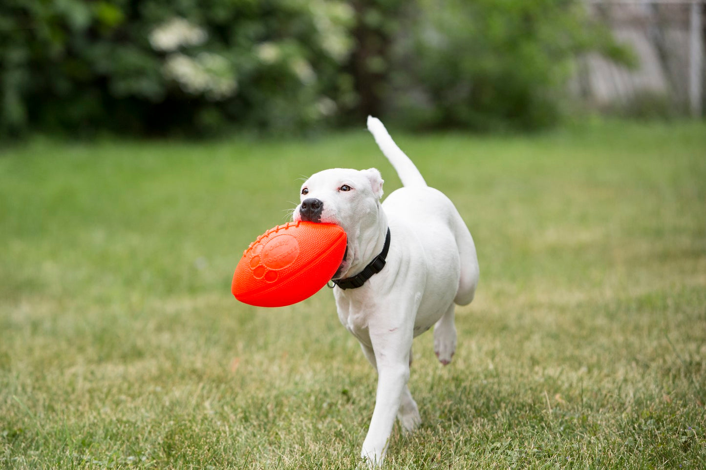 Jolly Football Orange (Vanilleduft) 20 x 12 cm