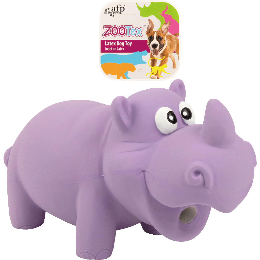 AFP Reginald the rhino - L