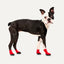 Gooeez Lites Dog Booties (4-pack) 2XS Red/Black