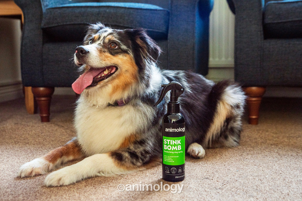 Animology Stink Bomb Refreshing Spray