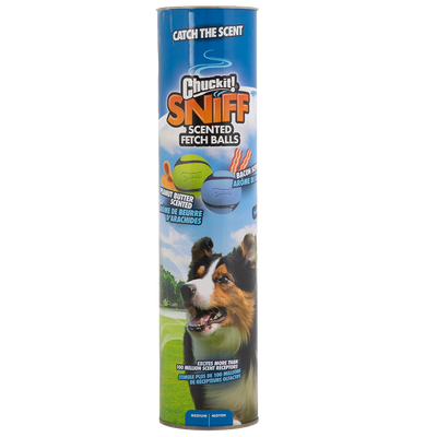 Chuckit sniff fetch balls md canister 4pk