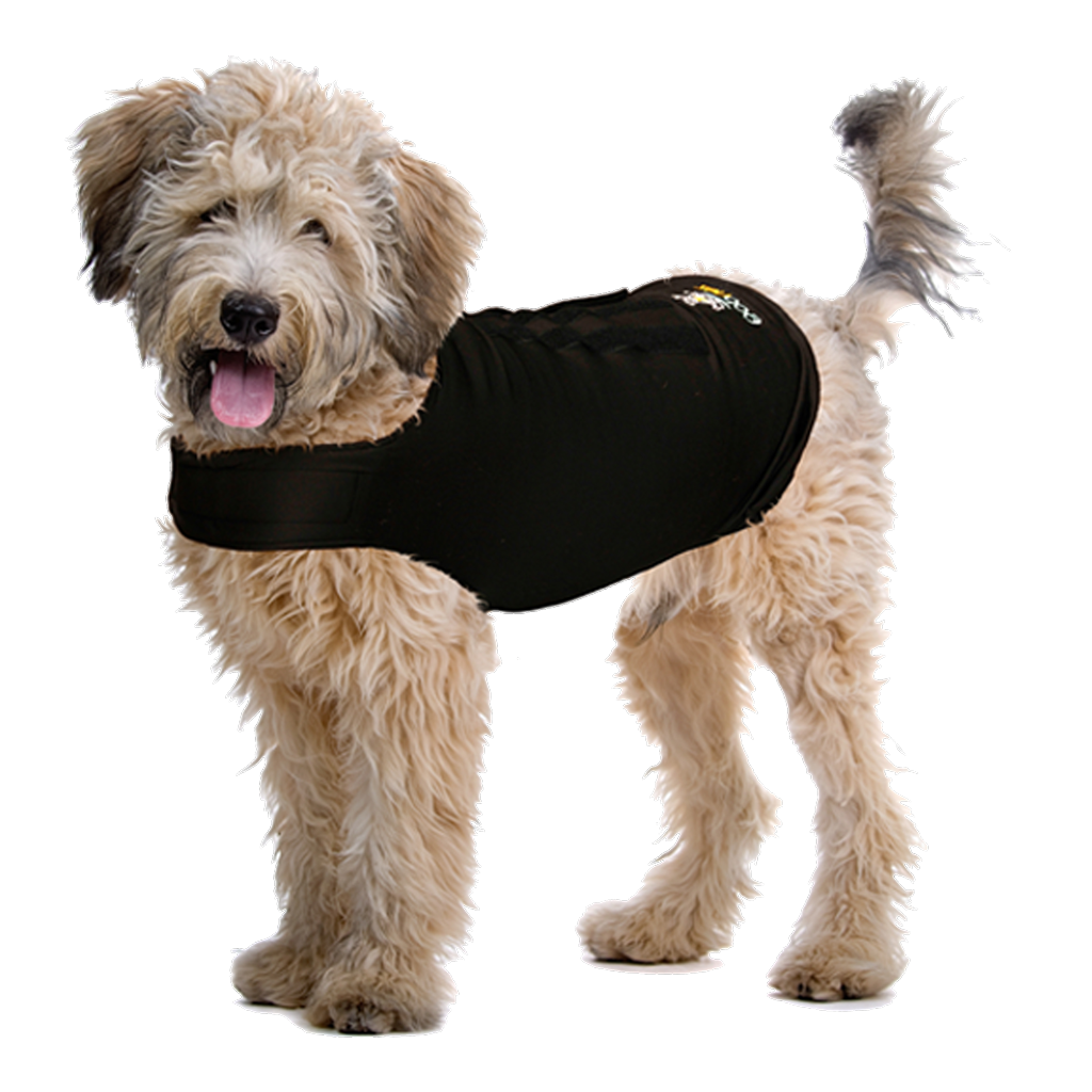 ZenDog Compression Shirt Small