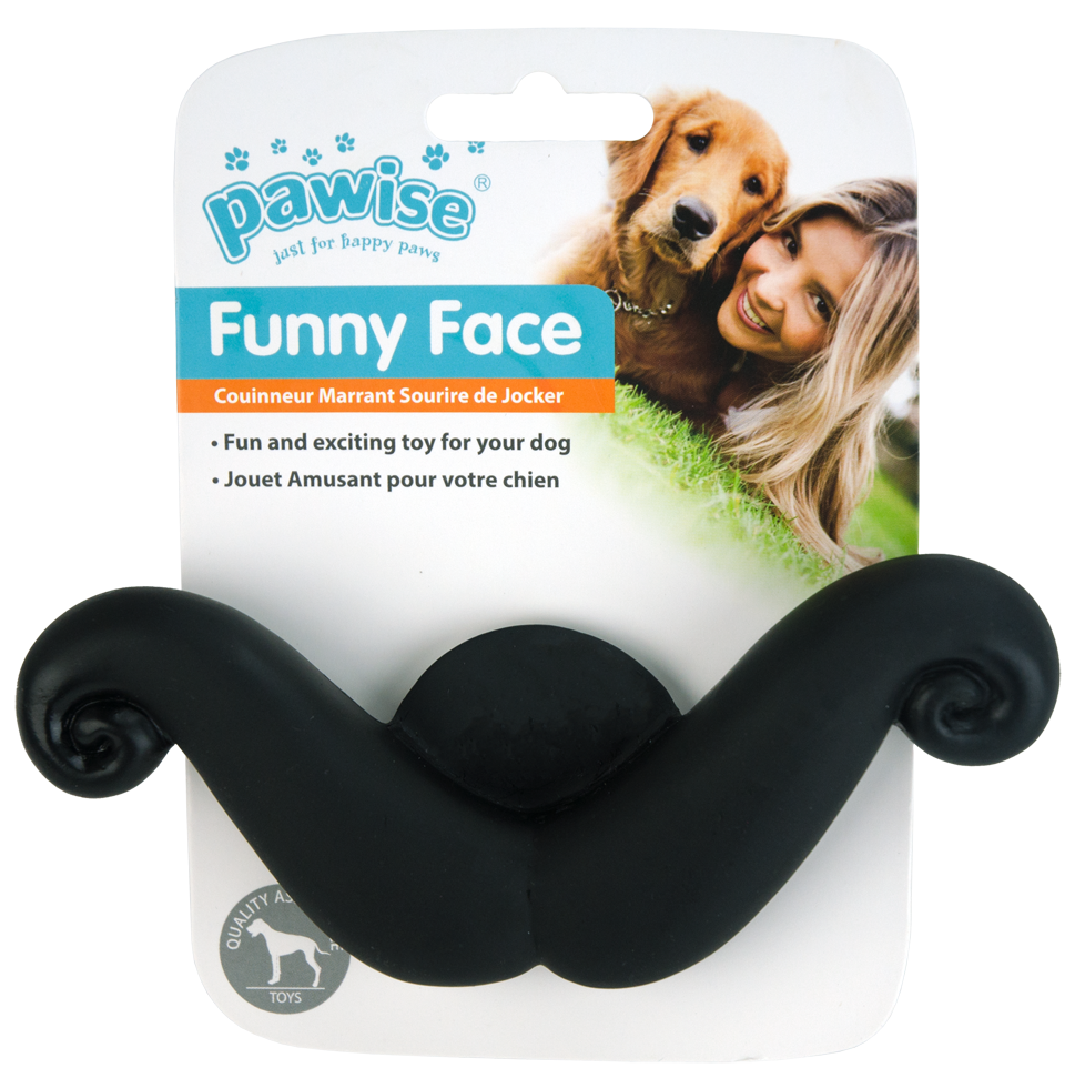 Pawise Funny Face Schnurrbart (14,5cm)